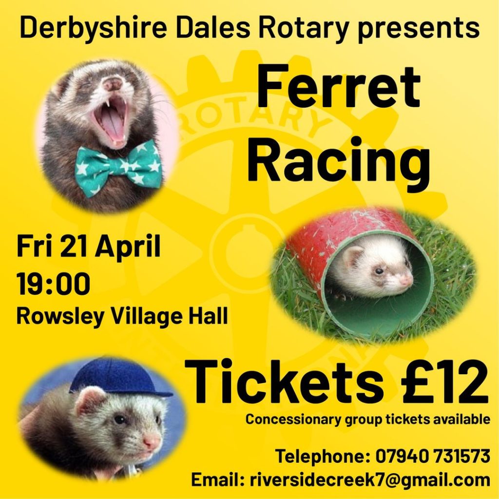 Charity Ferret Racing 21 April Rowsley Village Hall